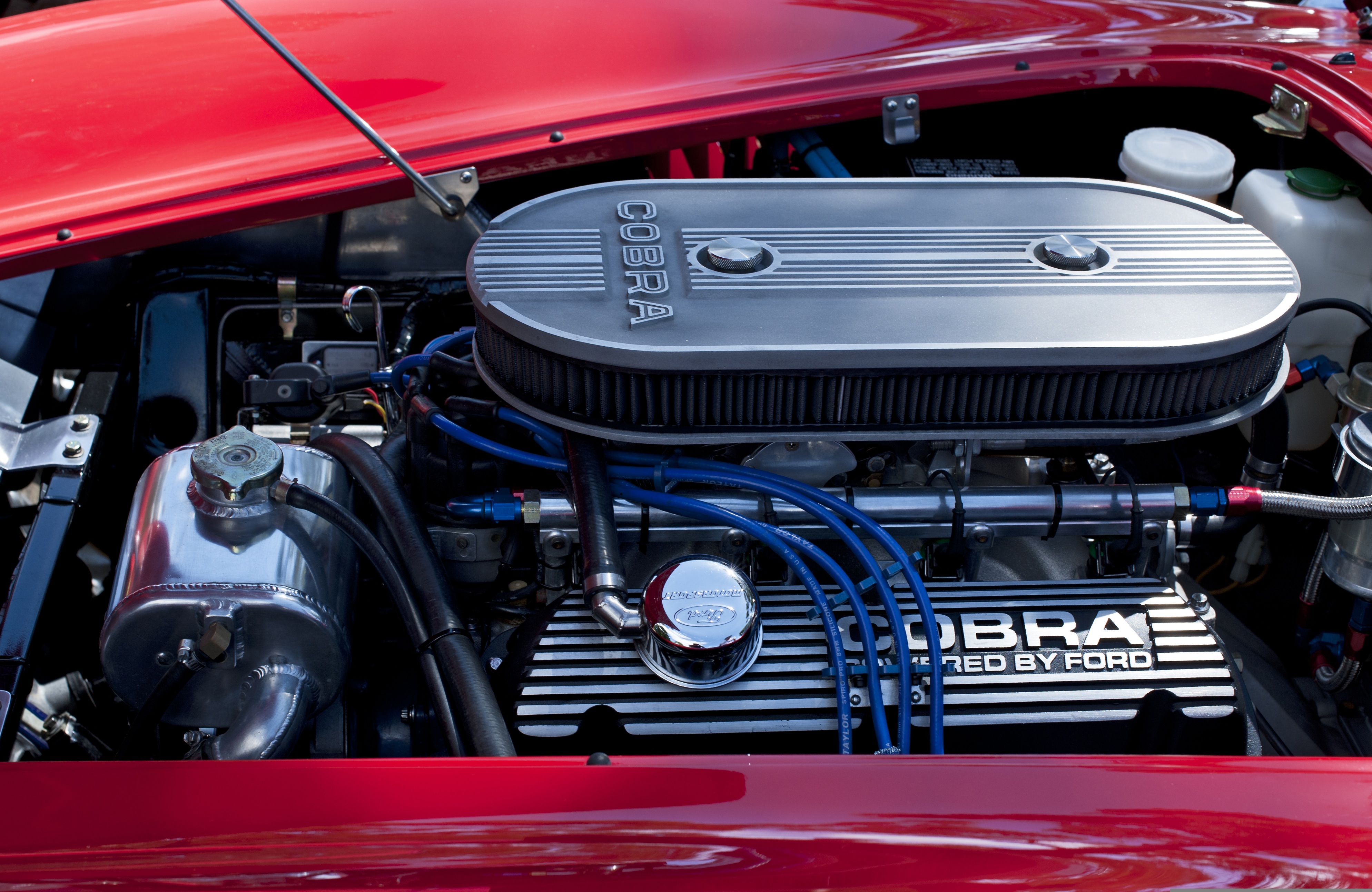 Engine bay checked by an auto repair garage